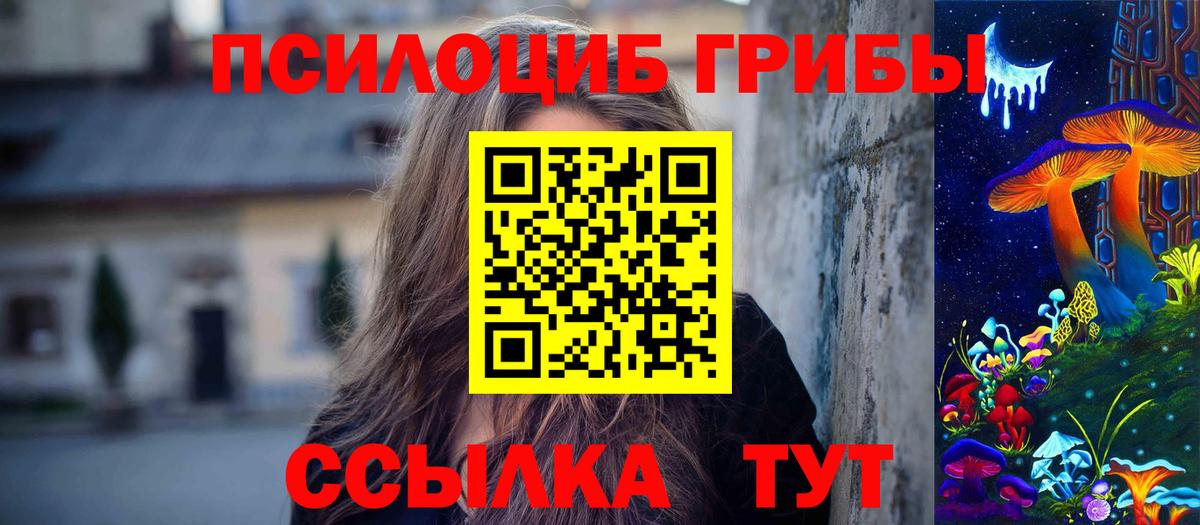 Заводоуковск  Галлюциногенные грибы Magic Shrooms  Вход с VPN 